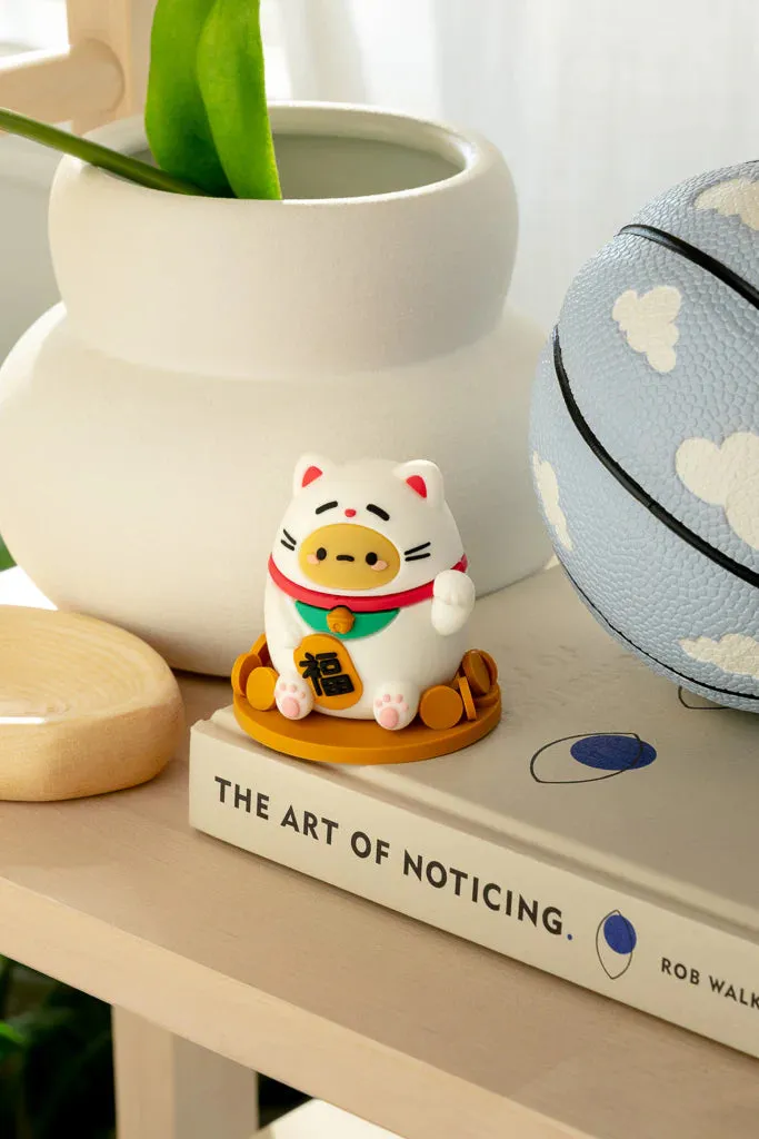 Blind Box | Tayto Potato Cat
