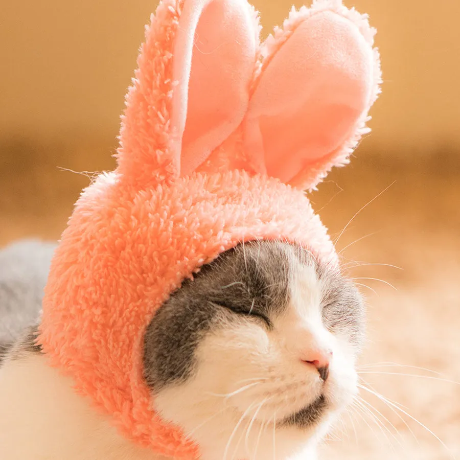 Cat Cap Blind Box Rabbit Edition
