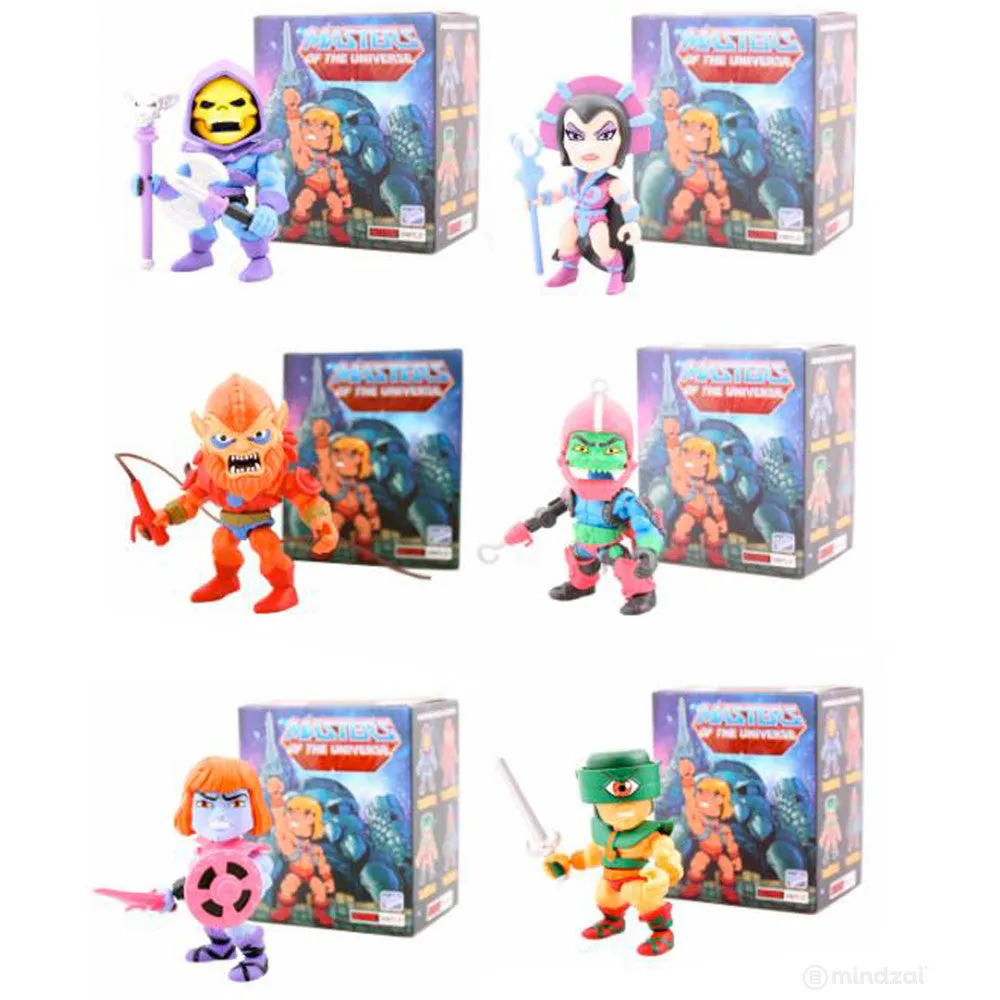 Masters of the Universe Action Vinyls Blind Box Series by The Loyal Subjects