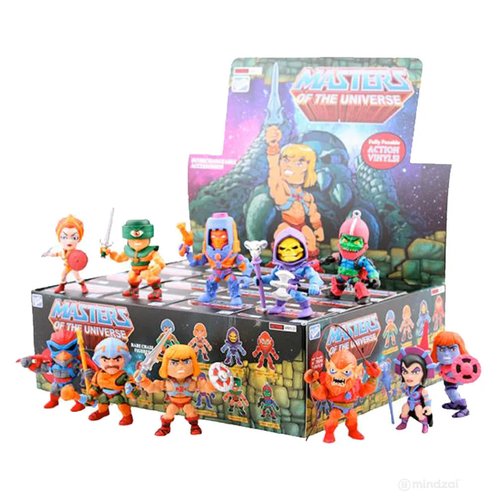 Masters of the Universe Action Vinyls Blind Box Series by The Loyal Subjects
