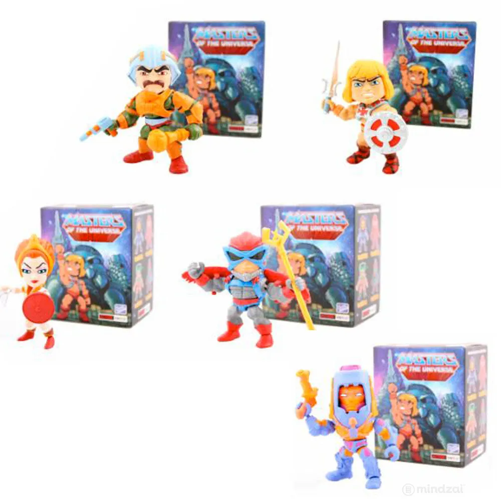 Masters of the Universe Action Vinyls Blind Box Series by The Loyal Subjects